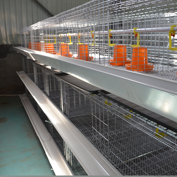 stackable chicken cages