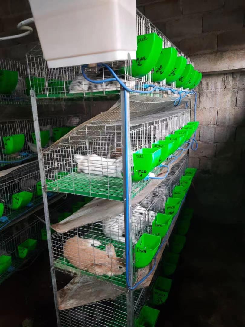 paper pulp egg tray making machine