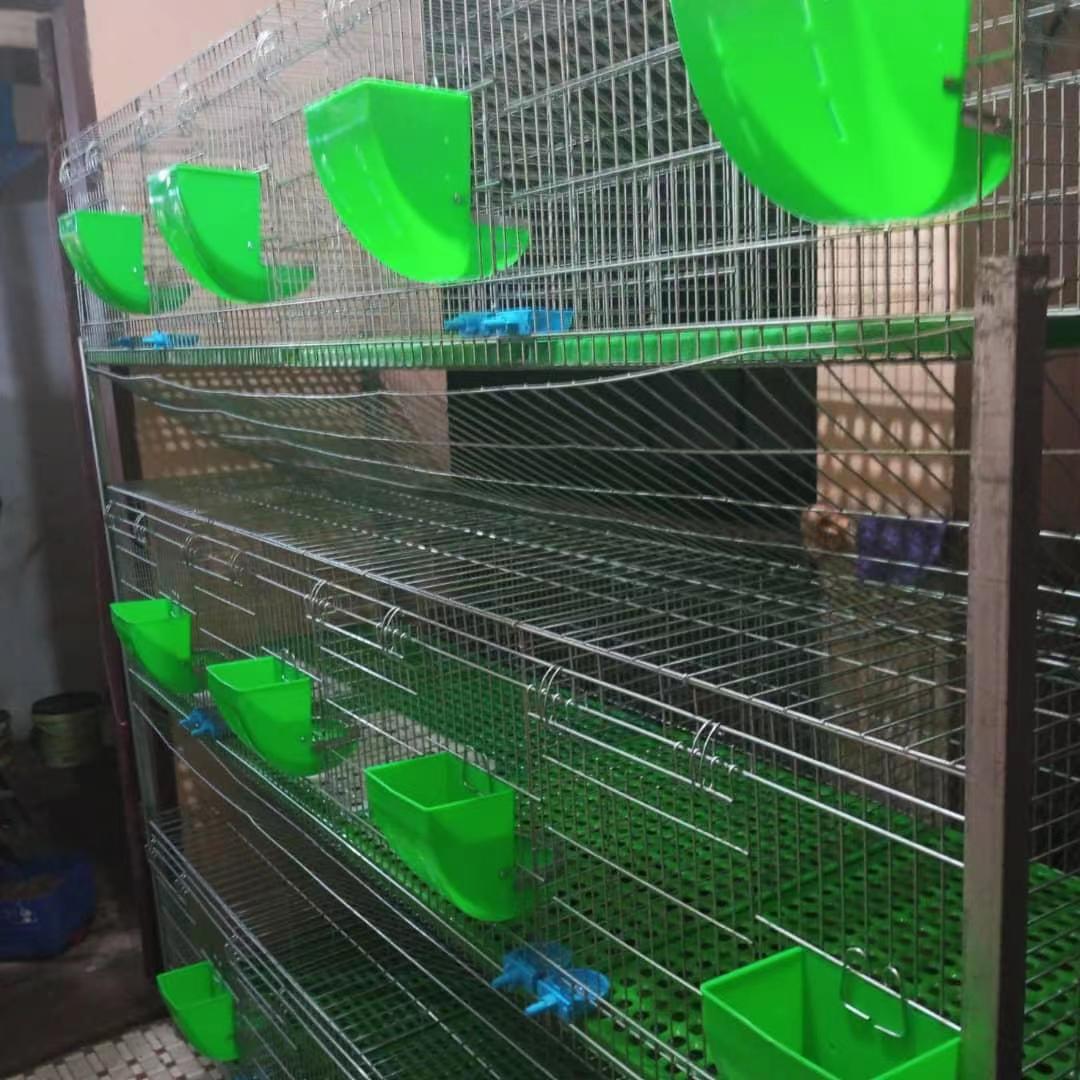 poultry scalding tank