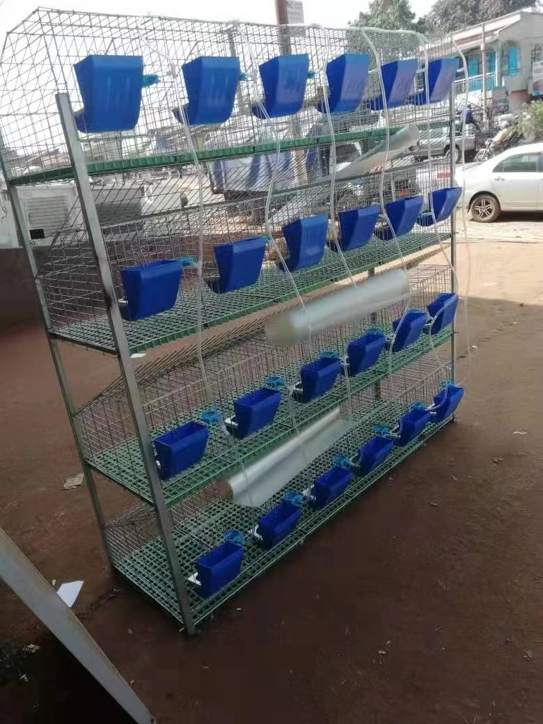 feed processing machine