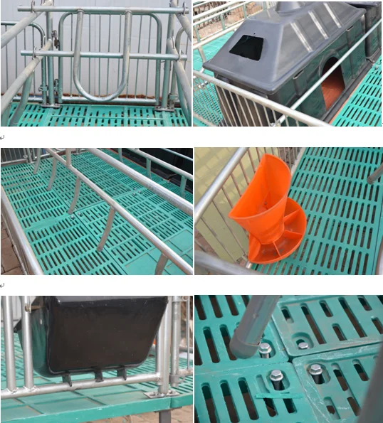 baby chicks cage