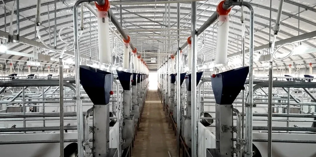 meat vacuum packaging machine