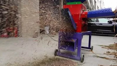 rabbit transport cages