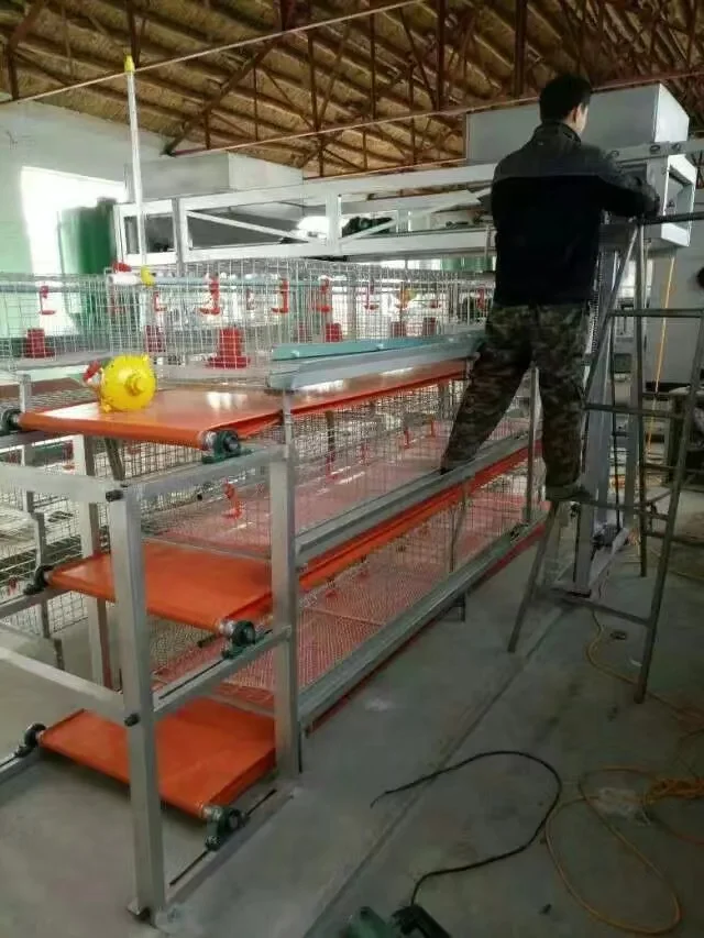 poultry breeding cage