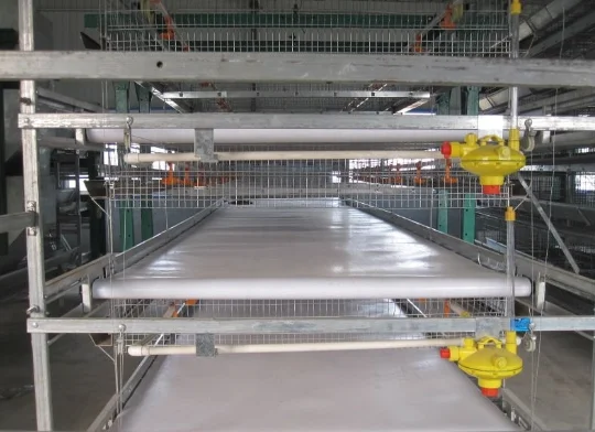 wire mesh for chicken cages