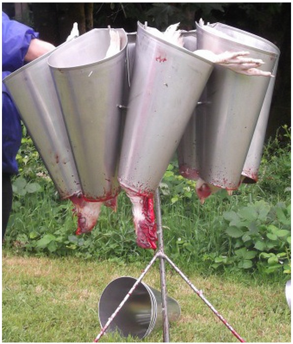 breeding environment equipment