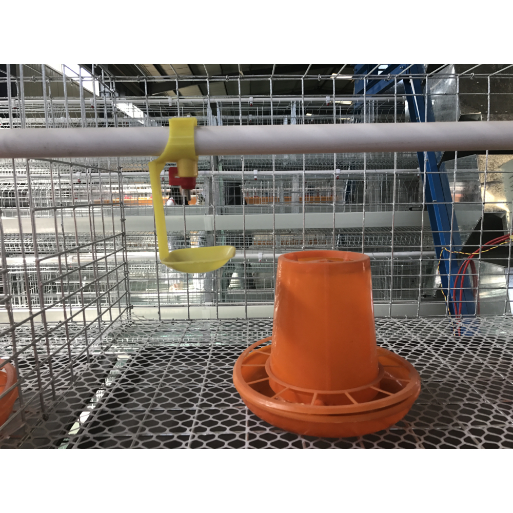 shrimp feed pellet machine
