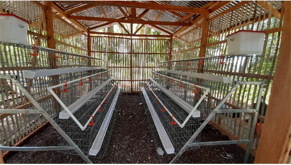 mini poultry cage