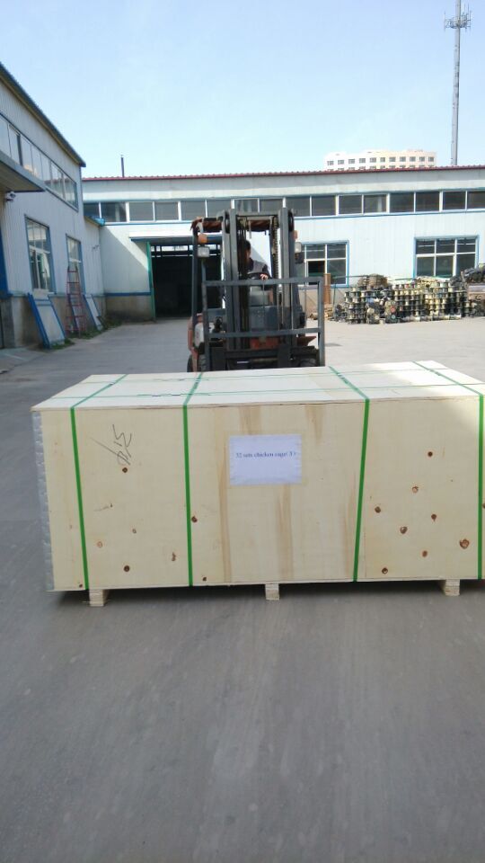 farrowing pens for pigs